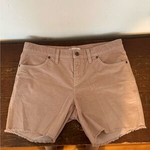 Carve Designs Pink Oahu Shorts